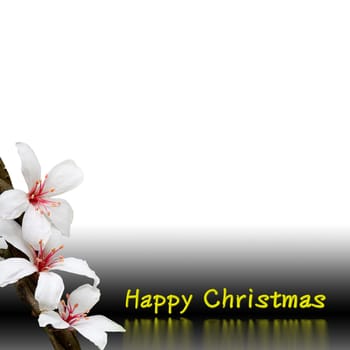 Christmas background design for adv or others purpose use