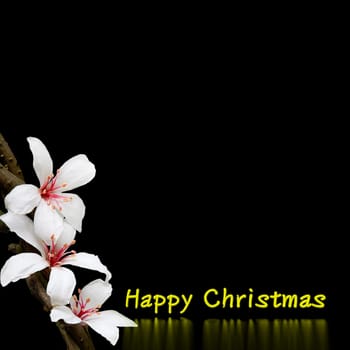 Christmas background design for adv or others purpose use