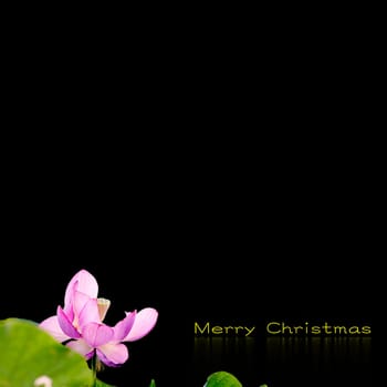 Christmas background design for adv or others purpose use