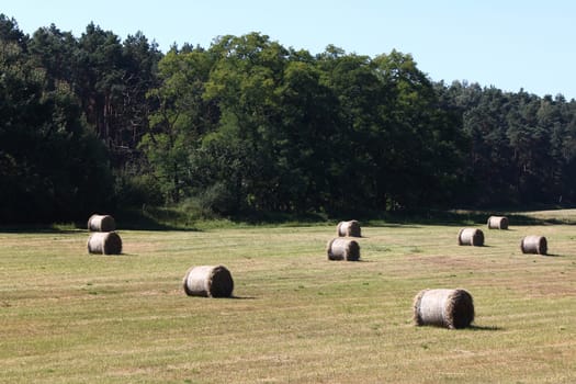 a field in Brandenburg with huge hay bales