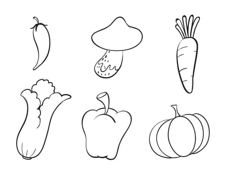 illustration of various vegetables on a white background