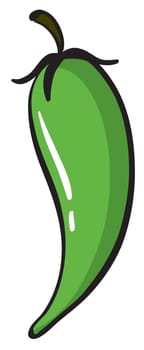 illustration of a green chili on a white background