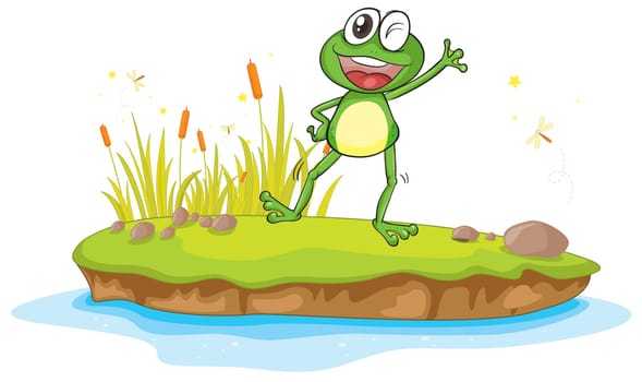 illustration of a frog and a water on a white background