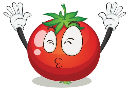 illustration of a tomato on a white background
