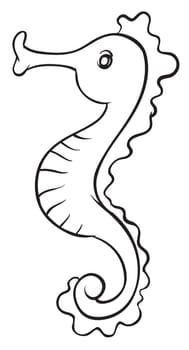 illustration of a sea horse on a white background