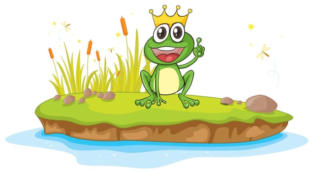 illustration of a frog and a water on a white background