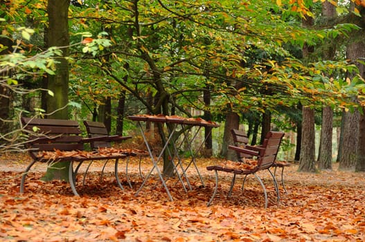 Forest restaurant