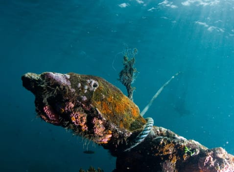 World War II shipwreck underwater in Bali