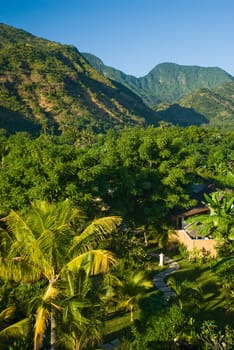 Forest path and the hills of Bali