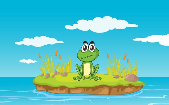 illustration of a frog and a water on a white background
