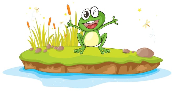 illustration of a frog and a water on a white background