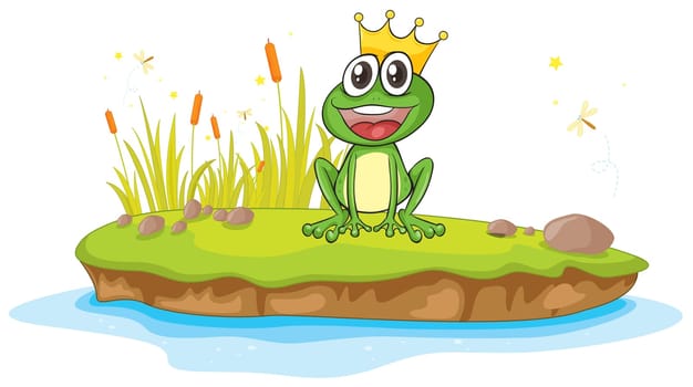 illustration of a frog and a water on a white background