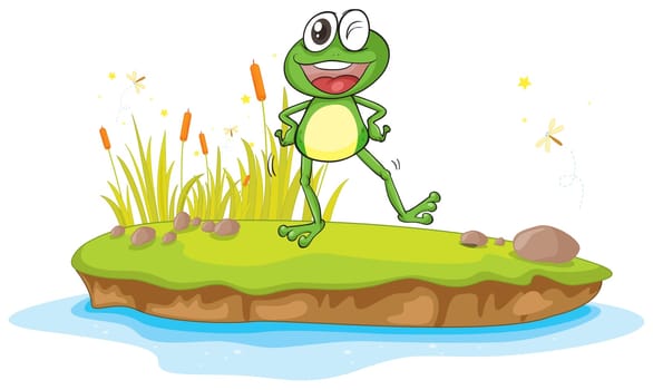 illustration of a frog and a water on a white background