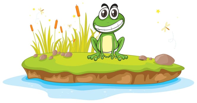 illustration of a frog and a water on a white background