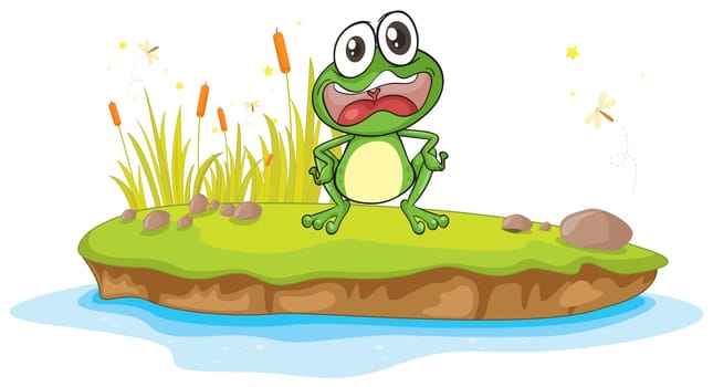 illustration of a frog and a water on a white background