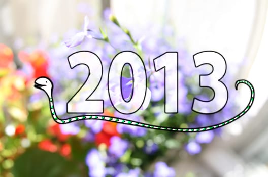 2013 Year of the Snake