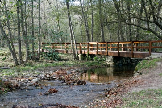 rural scene, season changing to fall, wood bridge over creek in the Montseny Natural Park, Spain