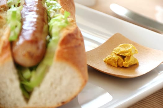 Tray of hot mustard with a pork and cabbage hot dog.