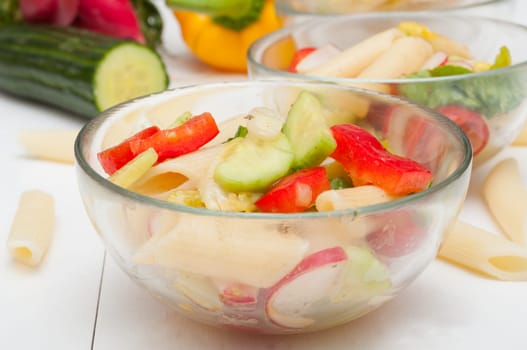 Fresh Pasta Salad With Tomatoes, Pepper, Cucumber, Radish and Lettuce
