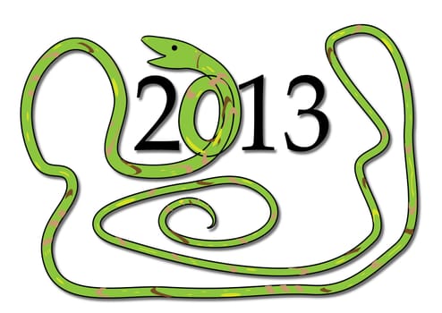 2013 Year of the Snake