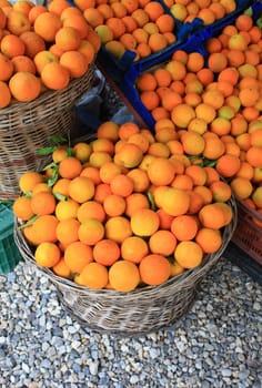 orange background