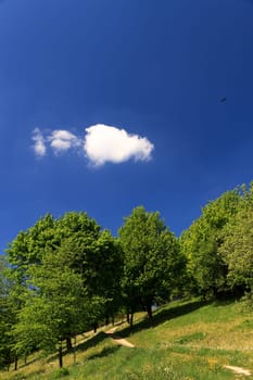 (Cloud data) or (cloud computer)