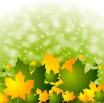 Autumn background with green and yellow leaves. Vector eps 10