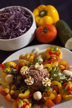 Real food photographed on location in traditional portuguese restaurants, canned tuna fish salad, Portugal