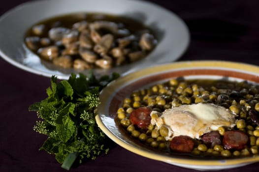 Real food photographed on location in traditional portuguese restaurants, peas soup - sopa de ervilhas - Alentejo, Portugal
