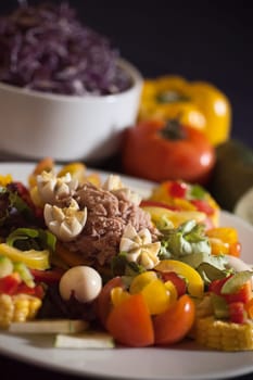Real food photographed on location in traditional portuguese restaurants, canned tuna fish salad, Portugal