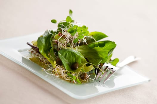 Fresh green salad with sprouts, capers and oregano close up