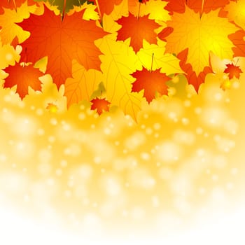 Autumn background with red and yellow leaves. Vector eps 10