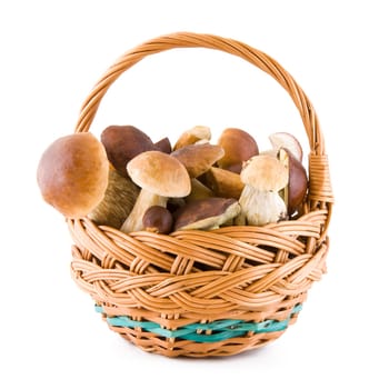 Boletus mushrooms in a wicker basket isolated on white background