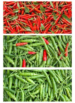 fresh chili
