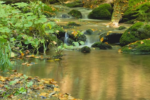 Peaceful flowing stream in the autumn forest (Czech Republic)
