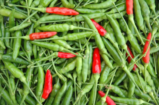 fresh chili