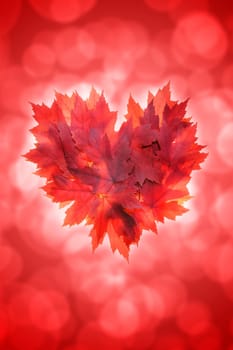 Heart Shape with Fall Red Maple Tree Leaves on Blurred Defocused Background