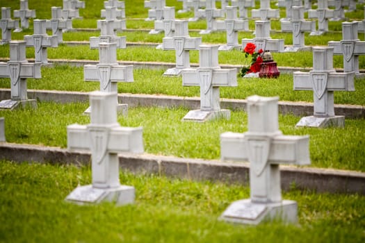 Rows of crosses in the military cemetery in Zgorzelec in Poland