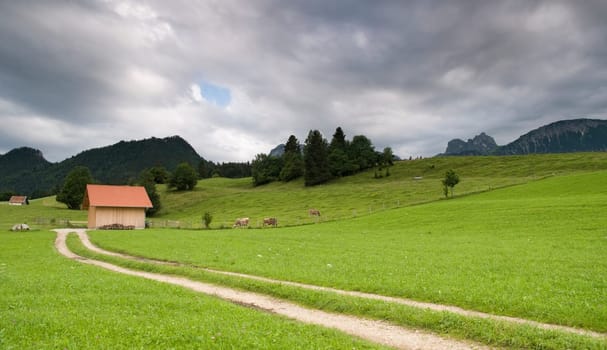 Gravel path in summery green pre-Alpine landscape (Ostallgäu) with isolated small wooden stables under overcast skies