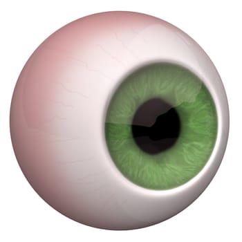 3d illustration of the eye on the white background.