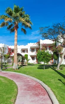 Garden in tourist resort in Dahab, Egypt.
