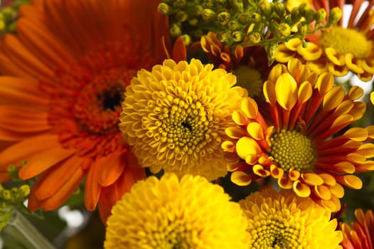 a bouquet of summer flowers, close-up