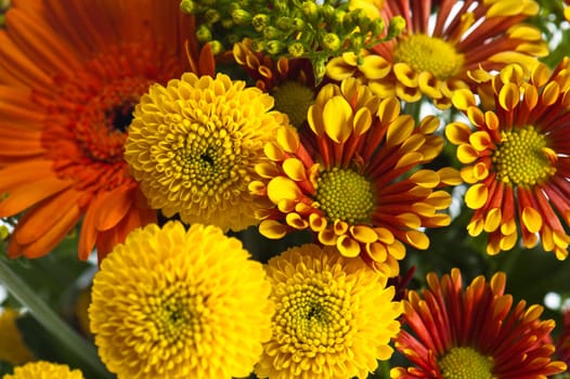 a bouquet of summer flowers, close-up