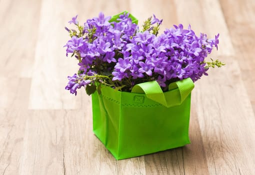 campanula blue a close up