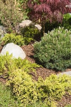 corner of the garden in Japanese style