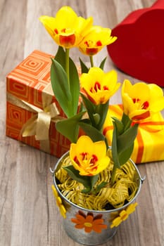 It is red yellow tulips and gift boxes, a close up