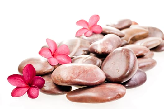 Three red plumeria's on the heap of red river zen stones