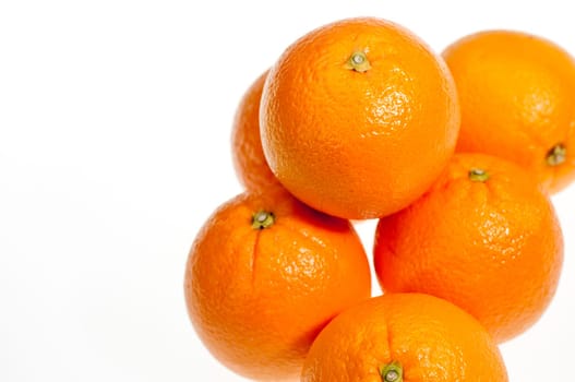 Six orange close up over white background