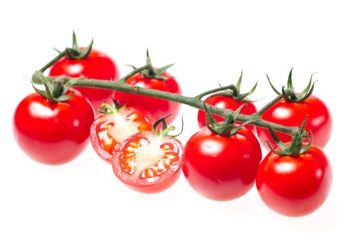 Cherry tomatoes on vine isolated on white background