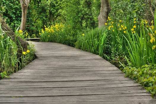 Footbridge in Krka National Park, Croatia